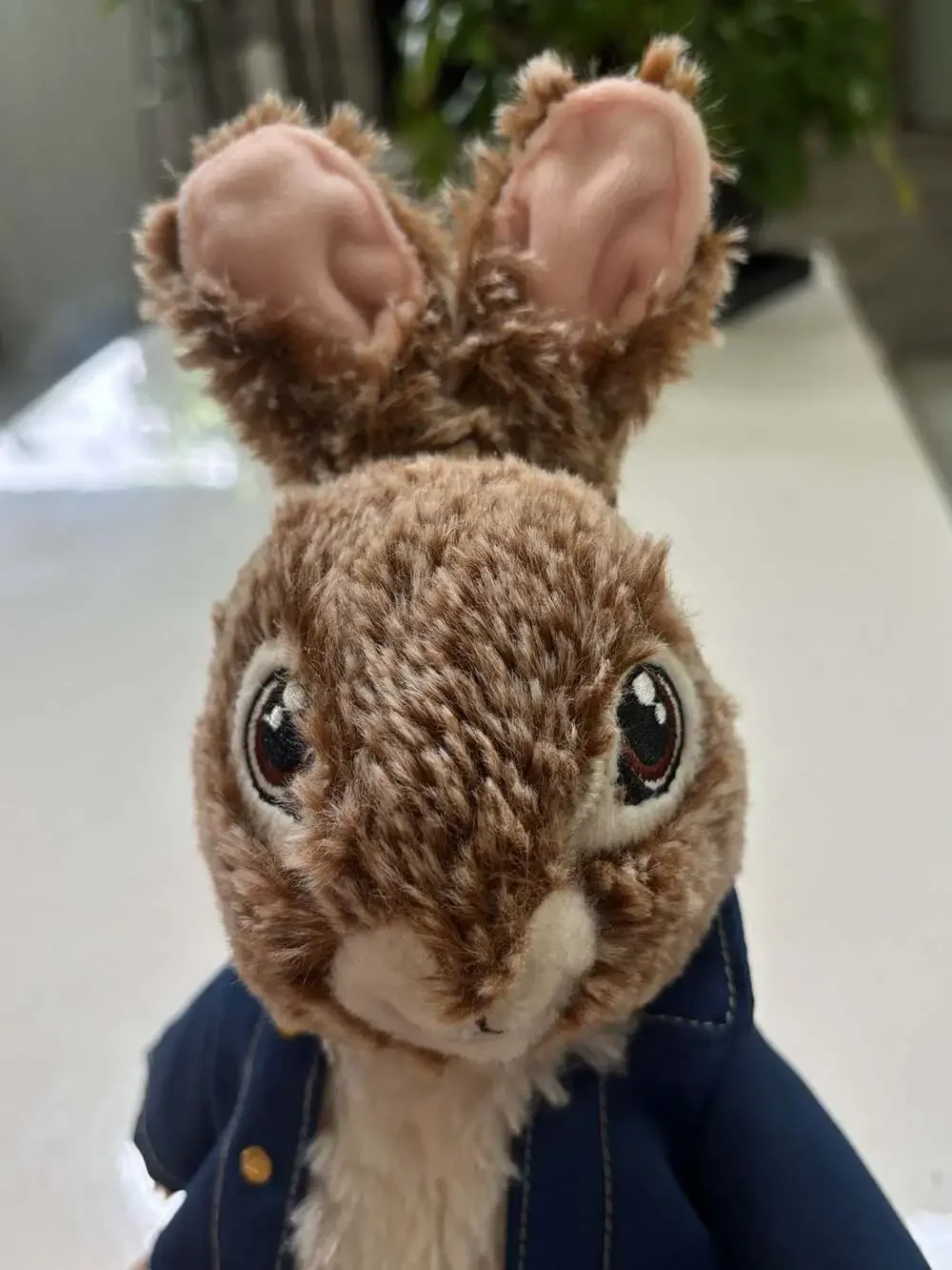 Dan Dee Peter Rabbit 2 Movie Plush Rabbit with Blue Jacket 11-inch Jacket
